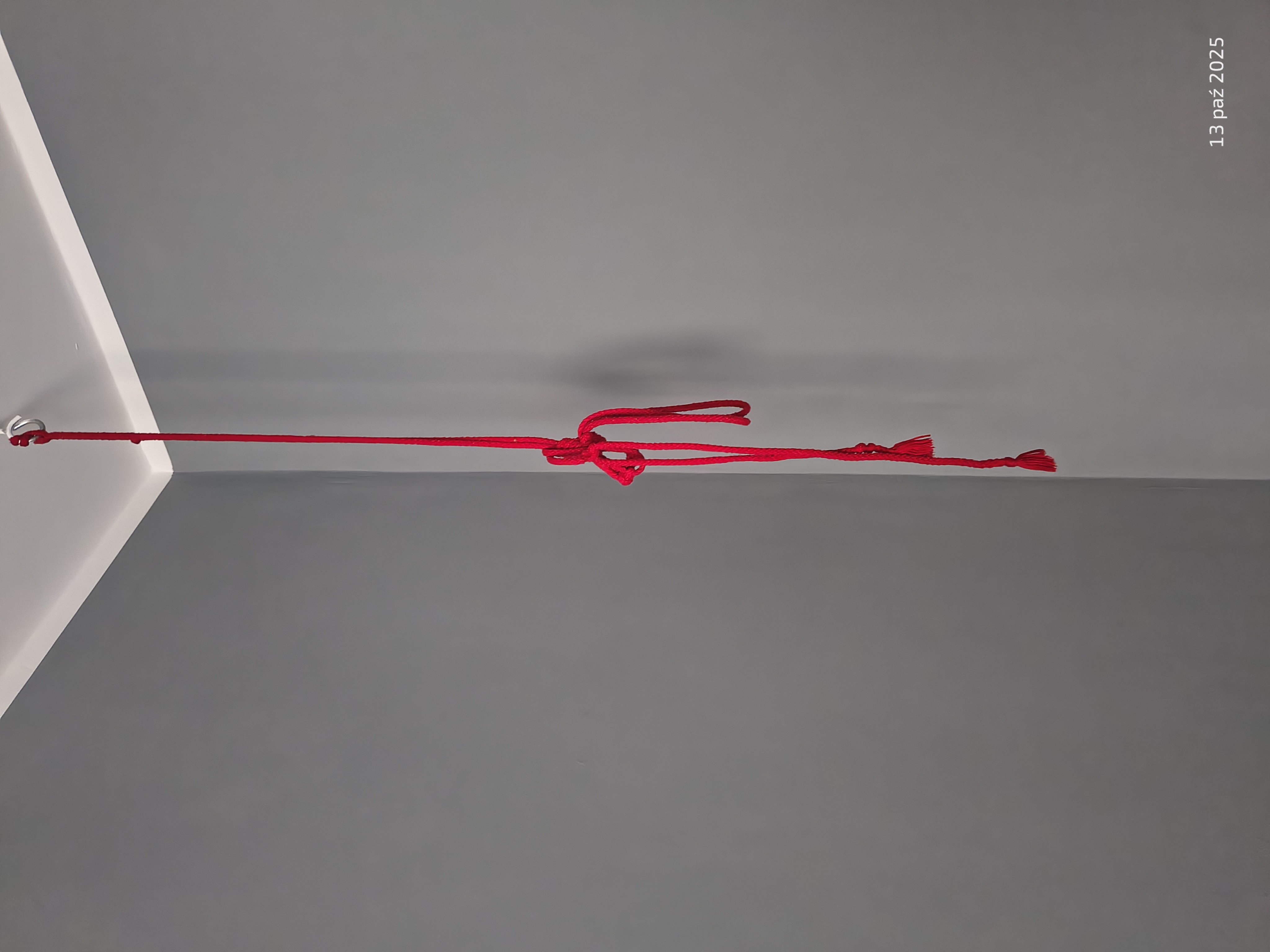 łowa mężczyzn w trakcie seksu jako wyzwalacze napięcia seksualnego dla kobiet